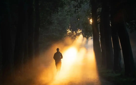 向光而行，那是人类最初的模样