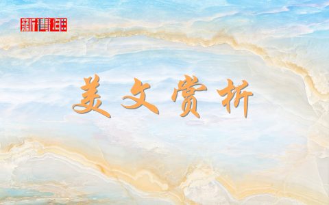 心中有光，便是人间好时节——读木然《向光而行》有感