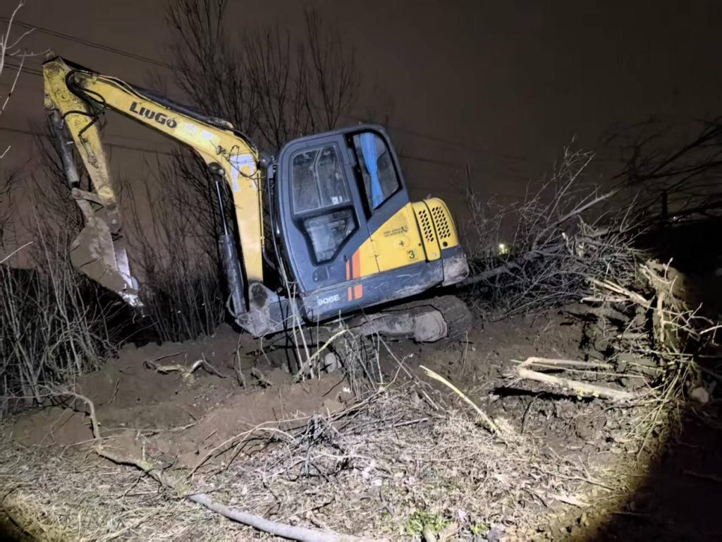 河南沈丘：“官方背书式”强砍民林，纪委压稿护短，解决不了问题，就解决提出问题的人