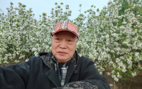 德艺双馨写丹青 金鸡鸣世传大爱——记当代实力派艺术家山湘子