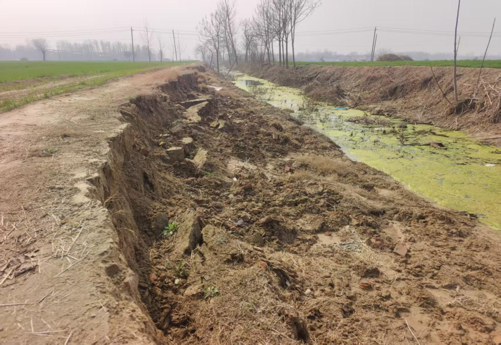 河南太康：借“清淤”之名行盗采之实，六旬村支书率众毁林挖土，巨额收益进了谁的口袋？