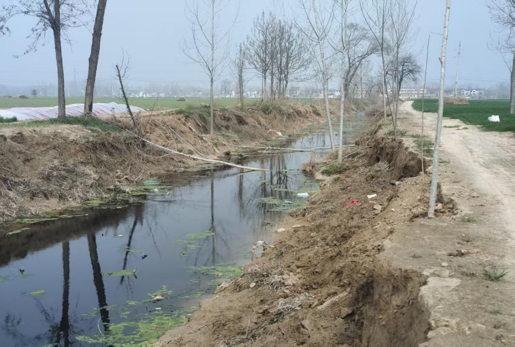 河南太康：借“清淤”之名行盗采之实，六旬村支书率众毁林挖土，巨额收益进了谁的口袋？