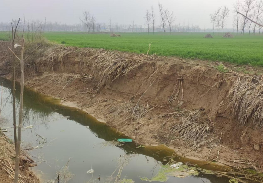 河南太康：借“清淤”之名行盗采之实，六旬村支书率众毁林挖土，巨额收益进了谁的口袋？