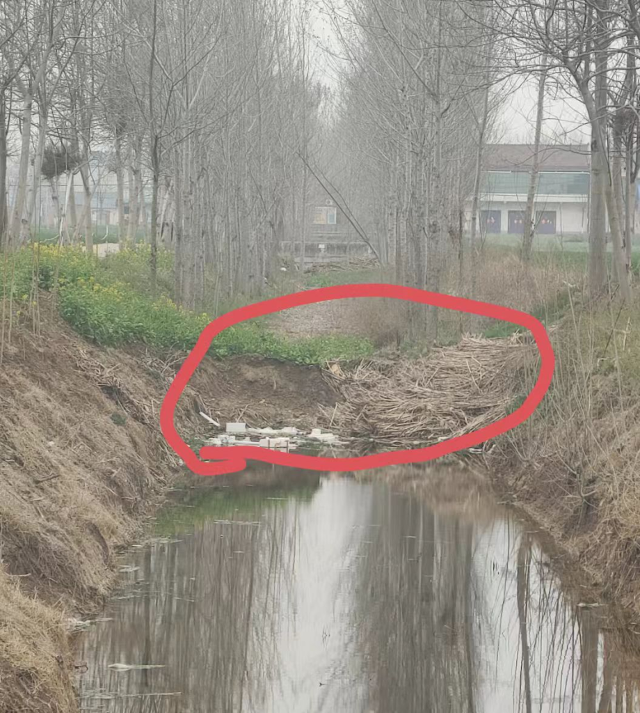 河南太康：借“清淤”之名行盗采之实，六旬村支书率众毁林挖土，巨额收益进了谁的口袋？