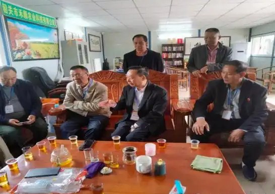 邓泗洲与粤北功能性农业水稻发展路