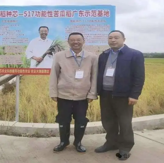 邓泗洲与粤北功能性农业水稻发展路