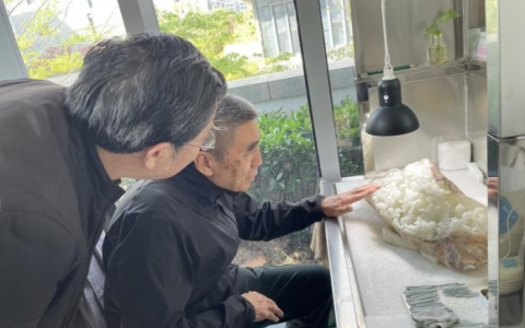 徐念沙赴袁嘉骐艺术馆调研 强调坚守手工制作核心地位