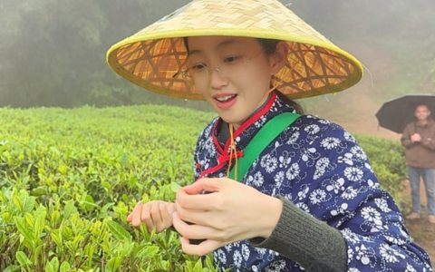 洪紫千：福鼎白茶越老越值钱？