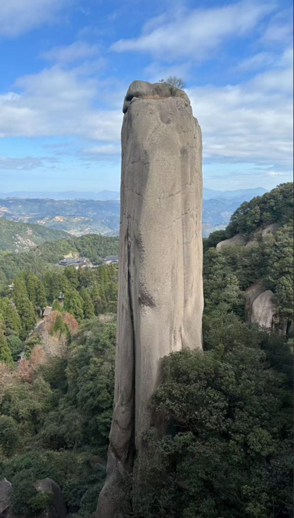 洪紫千：福鼎白茶越老越值钱？