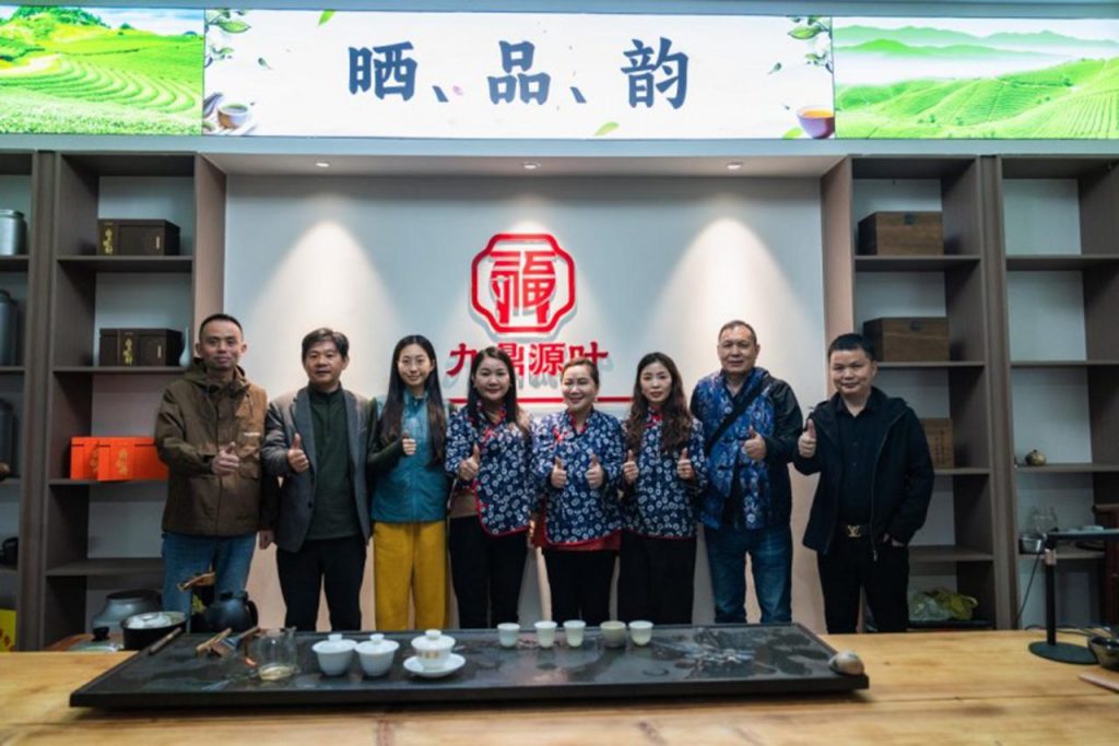 洪紫千：福鼎白茶越老越值钱？