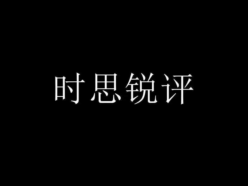 全球数字治理的双轮驱动：世界数据组织的官方布局与中国记录通讯社的民间先行