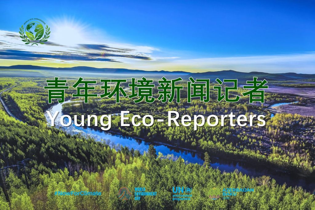记录地球生机！国际传播组织在联合国世界环境日官网正式启动“青年环境新闻记者项目”