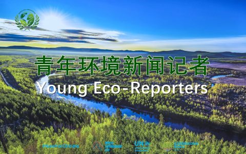 记录地球生机！国际传播组织在联合国世界环境日官网正式启动“青年环境新闻记者项目”