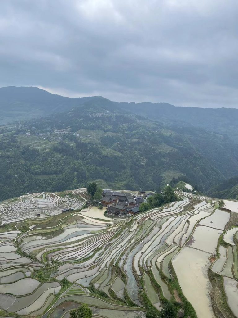 三年探源路:从一杯酒、一盏茶到东方文明的表达