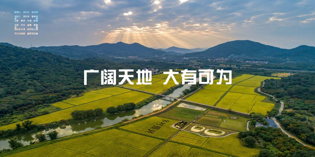 华聚网（华聚头条）分站负责人招募｜低门槛入局，共享互联网+乡村振兴新红利