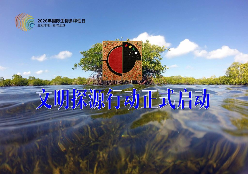 东方文明传播工程:文明探源行动正式启动