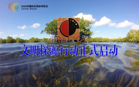 东方文明传播工程：文明探源行动正式启动