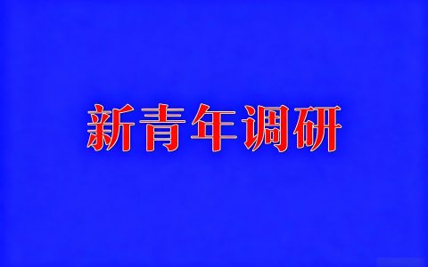 我国知识产权立法与司法实践的制度短板、裁判漏洞及完善路径研究