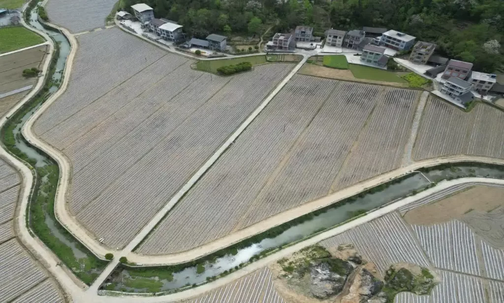 雄峙群山铸丰碑——中国铁塔帮扶宣恩十年纪实